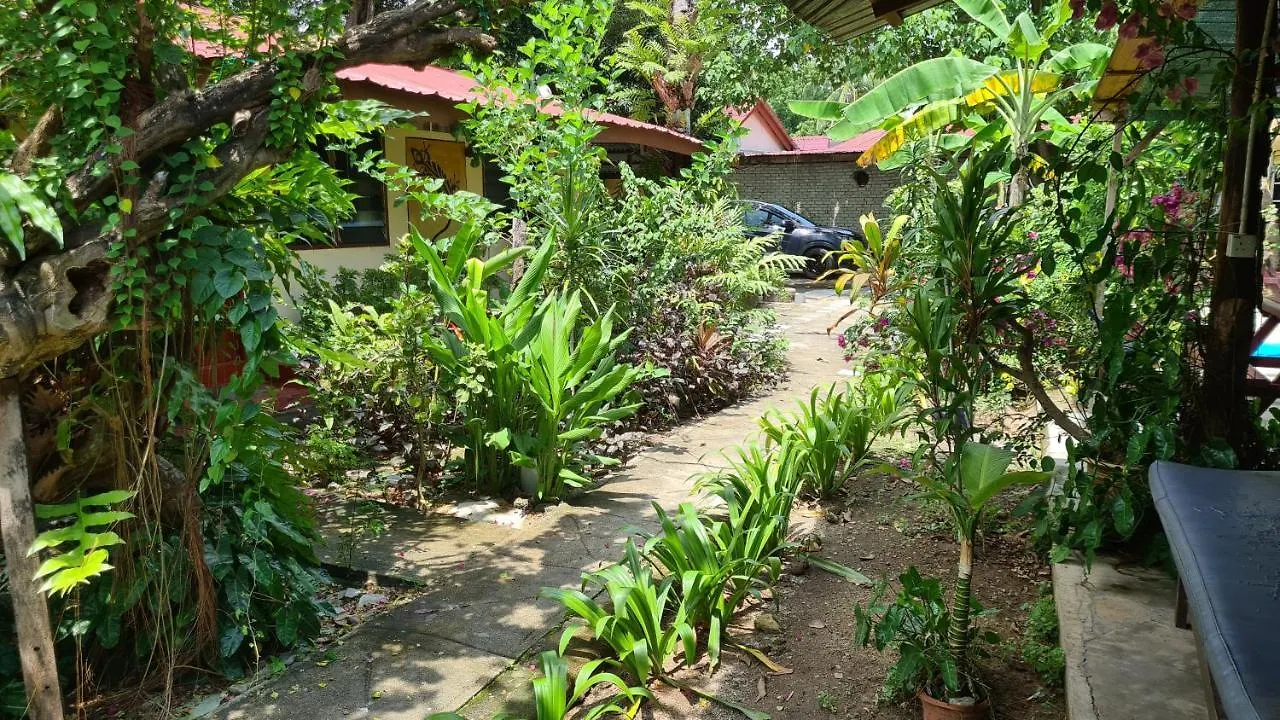 Gecko Guesthouse Pantai Cenang  0*, Pantai Cenang (Langkawi) Malaysia