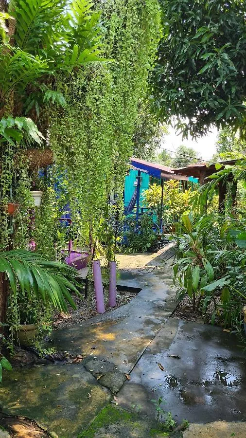 Gecko Guesthouse Pantai Cenang  Guest house