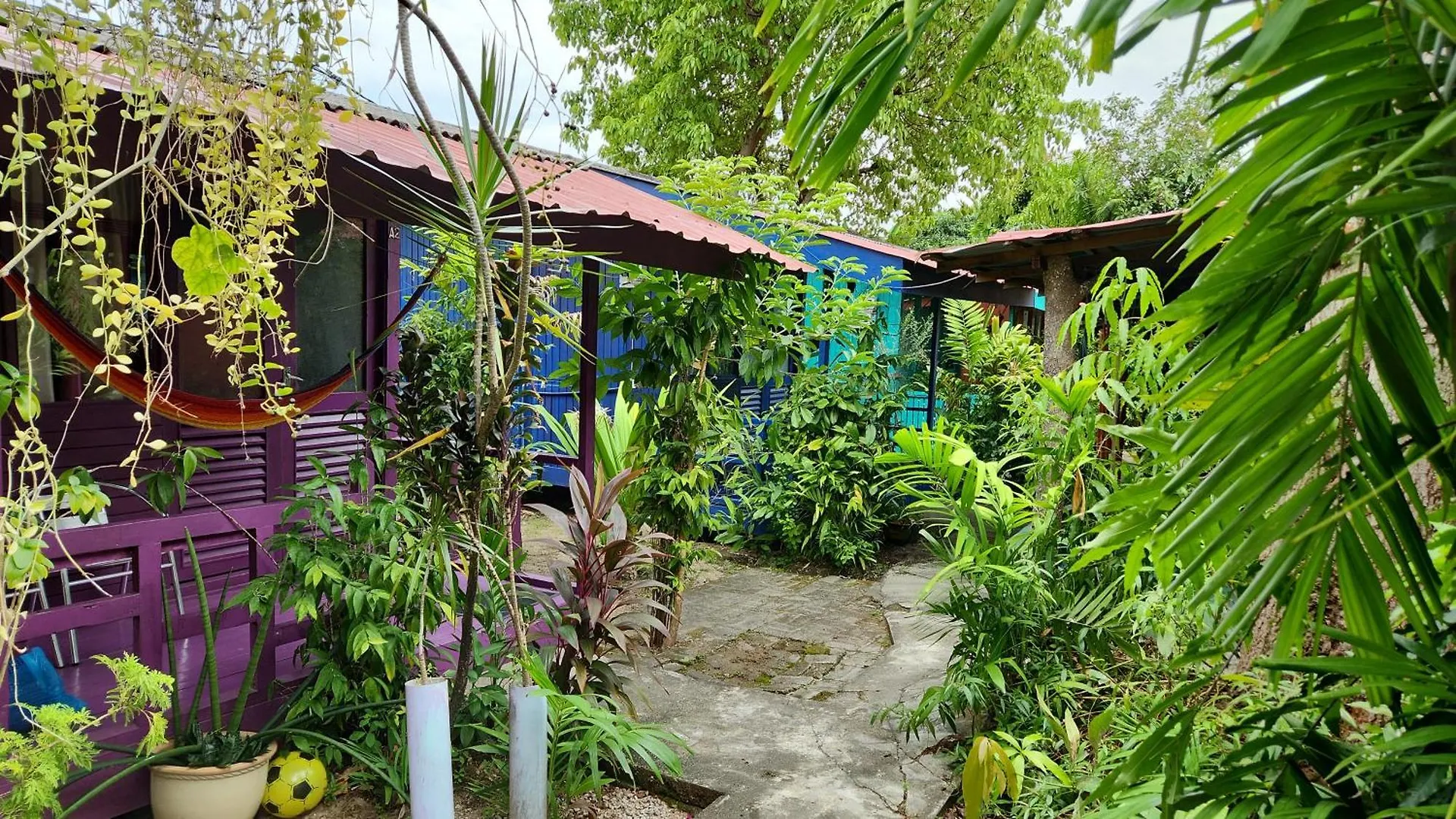 Gecko Guesthouse Pantai Cenang  Guest house