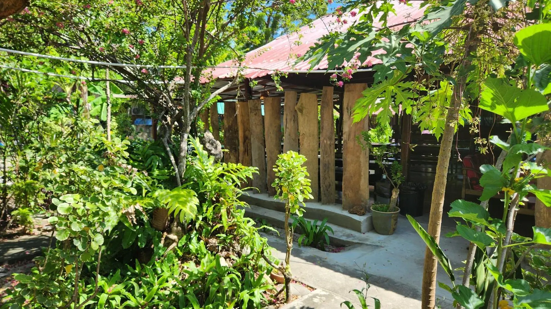 Gecko Guesthouse Pantai Cenang  Guest house