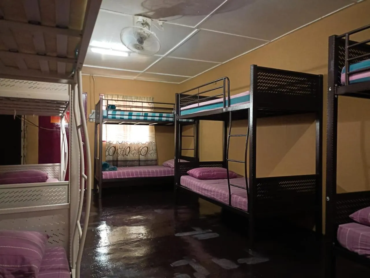 Gecko Guesthouse Pantai Cenang  Pantai Cenang (Langkawi)